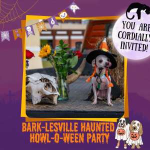 Photo 1 of Bark-lesville Haunted Howl-o-ween Party.