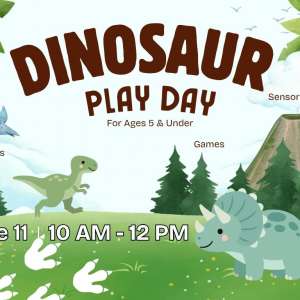 Photo 1 of Bartlesville Public Library Dinosaur Play.