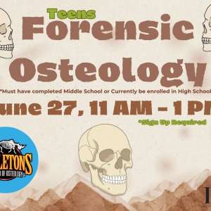 Photo 1 of Bartlesville Public Library Teens Forensic Osteology.