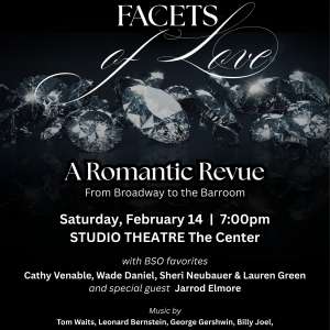 Photo 1 of Bartlesville Symphony Orchestra Chamber Series: A Valentine Musical.