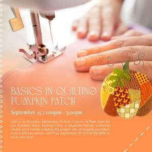 Photo 1 of Basics in Quilting: Pumpkin Quilt Patch.