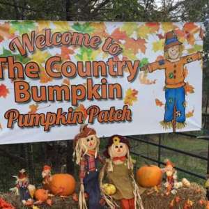 Photo 1 of Country Bumpkin Pumpkin Patch & More.