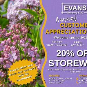 Photo 1 of Evans Annual Appreciation Sale.