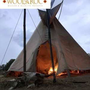 Photo 1 of Fall Traders Encampment at Woolaroc.