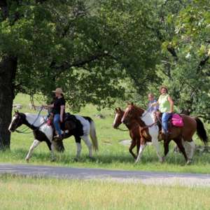 Photo 1 of Fall Trail Ride.