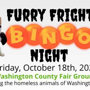 Photo 1 of Furry Fright BINGO Night.