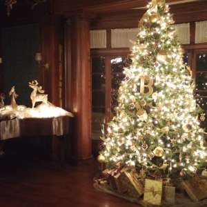 Photo 1 of Historical Brown Mansion Candlelit Tours.
