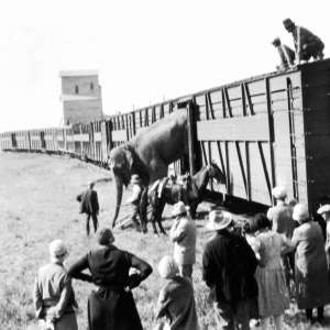 Photo 1 of May Lunch & Learn – “101 Ranch”.
