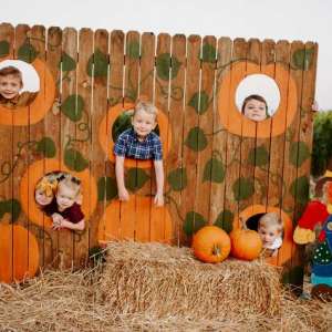 Photo 1 of Oklahoma Heritage Farm Annual Fall Festival.