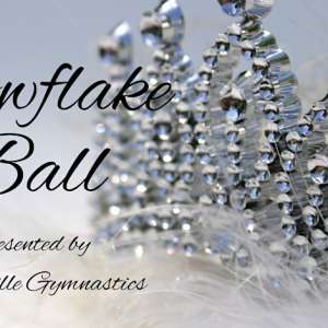 Photo 1 of Snowflake Ball.