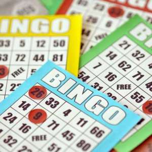 Photo 1 of Summer BINGO BASH benefiting the WCSPCA.