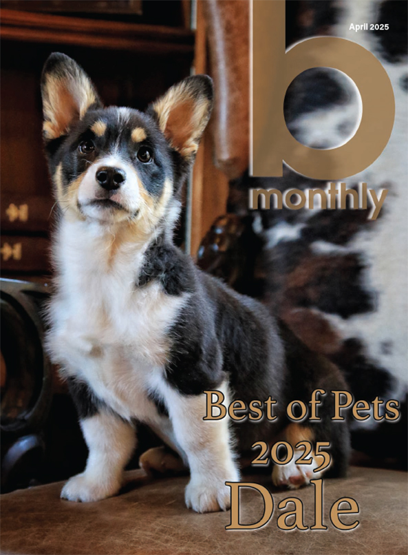 bmonthly cover